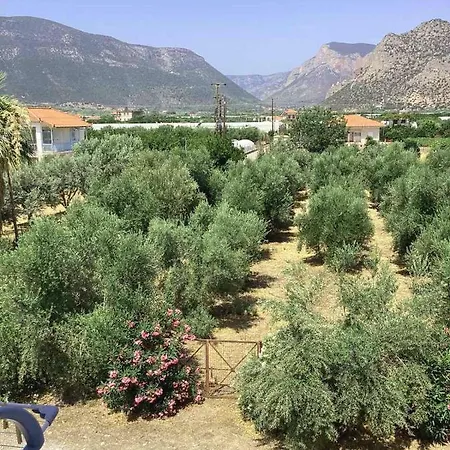 Thassa No1 * ليونِذيو