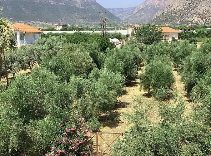 Thassa No1 * ليونِذيو